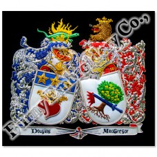 Coat of Arms Family Crests